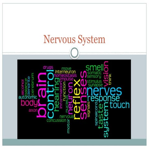 Anatomy and physiology of nervous system