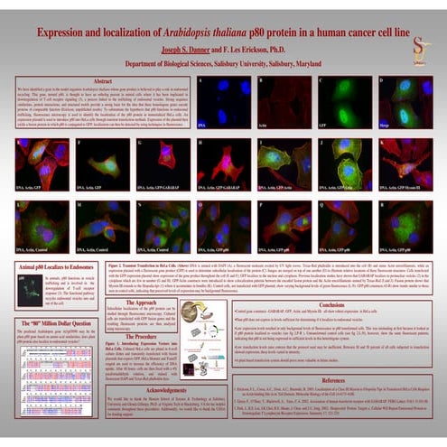 Microsoft PowerPoint - SUSRC 4.27 (Website)