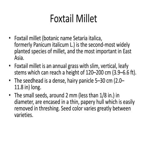 Foxtail Millet