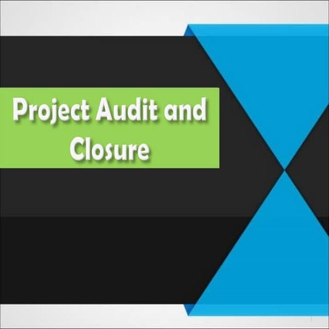 Project audit and closure