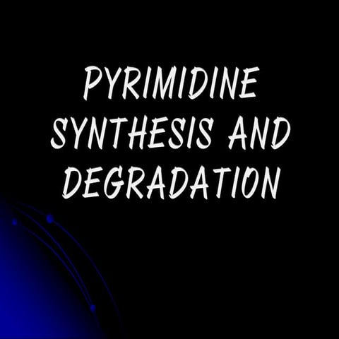 Pyrimidine Synthesis and Degradation