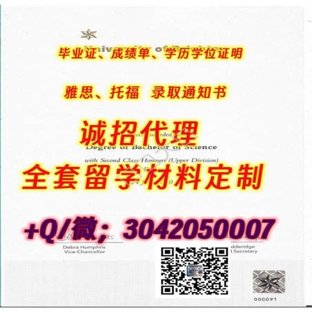 65.布莱顿大学.pdf