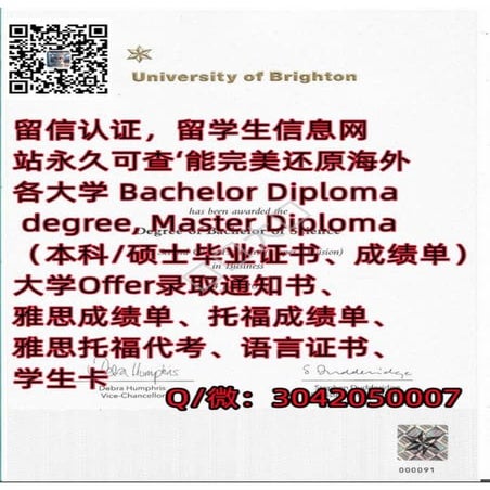 65.布莱顿大学.pdf