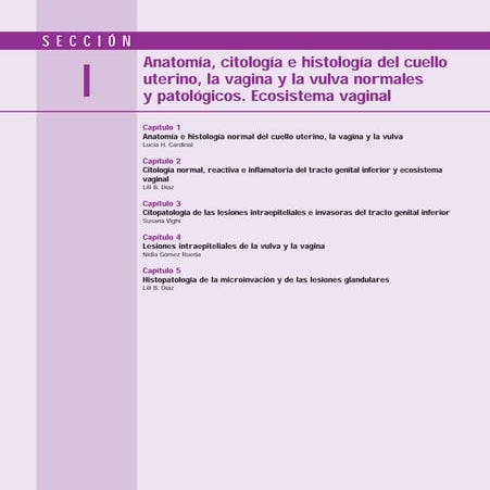 Anatomía, histología de la vagina y ciclo del epitelio vaginal. | PDF