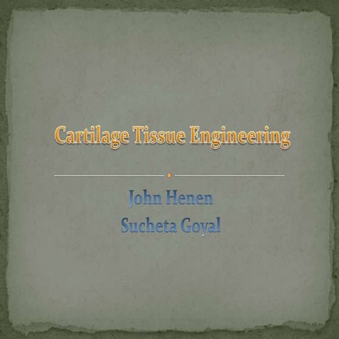 Cartilage Tissue Engineering