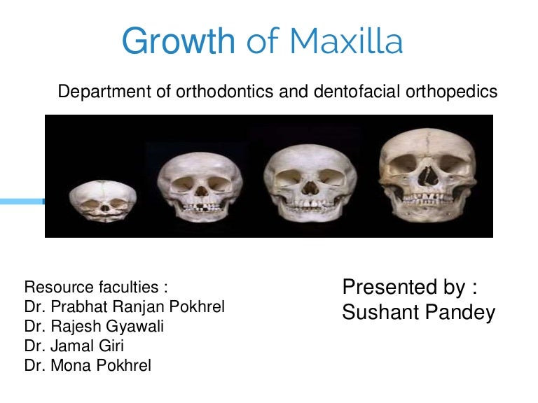 Growth of maxilla