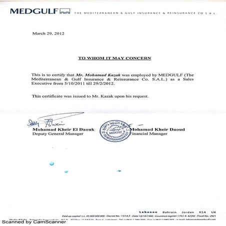 Medgulf %22Sales Executive%22 Experience Letter | PDF