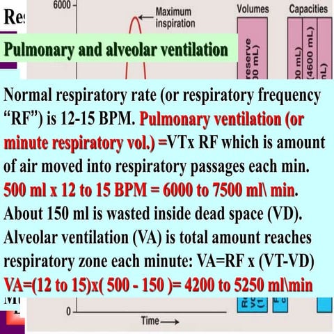 Respiratory system ppt