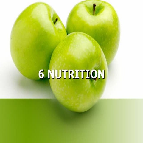 6570567 61 types-of-nutrition