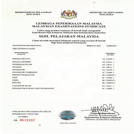 transcript bi NEW | PDF