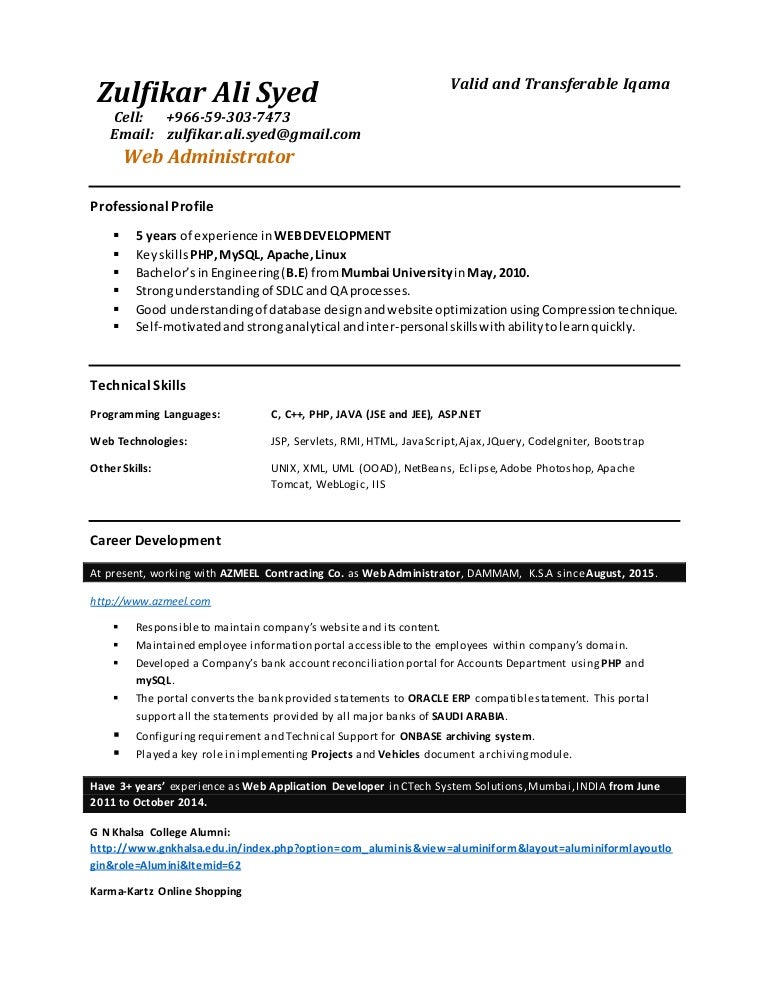 Sample Resume For An Experienced It Developer Monster Com