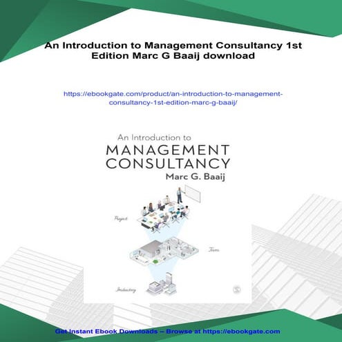 An Introduction to Management Consultancy 1st Edition Marc G Baaij