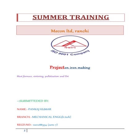 report-pankaj.docx2FIMAL