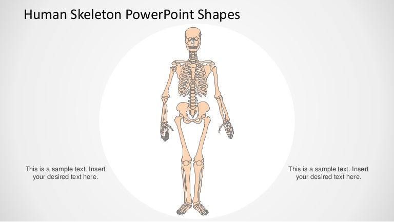 human-skeleton-powerpoint-shapes-slidemodel