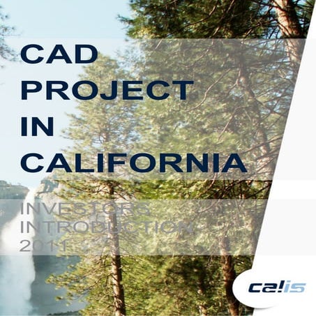 CALIS - Business Plan - CAD Project in Galt California | PDF