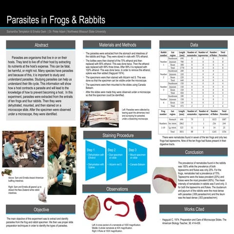 Parasites in Frogs & RabbitsFinalForRealThisTIME