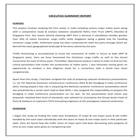 MIP - Executive Summary Report