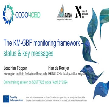 The KM-GBF monitoring framework – status & key messages.pptx