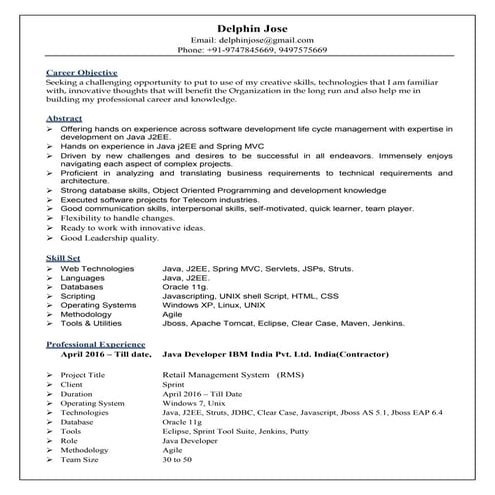 Delphin jose resume1