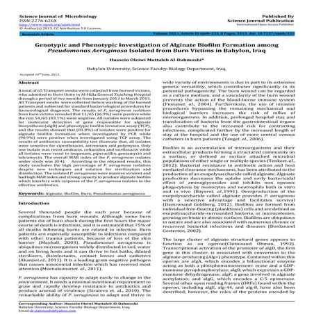 Pseudomonas Aeruginosa