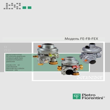Регуляторы давления fe fb fex Pietro Fiorentini S.p.A.