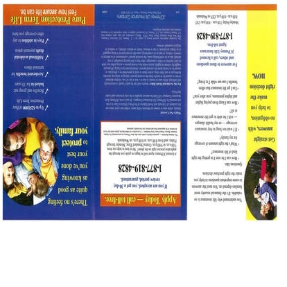 trendimi brochure | PDF