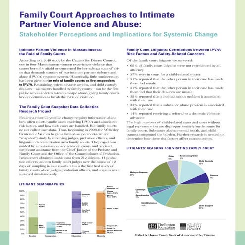 The Impact of Domestic Violence on Child Custody Cases.pptx