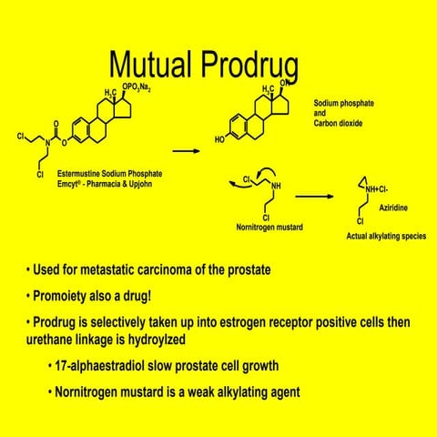 MUTUAL PRODRUG [PHARMACEUTICALS]