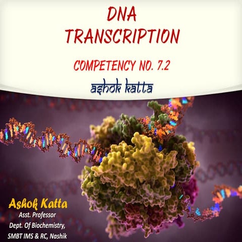 DNA Transcription and RNA Processing 