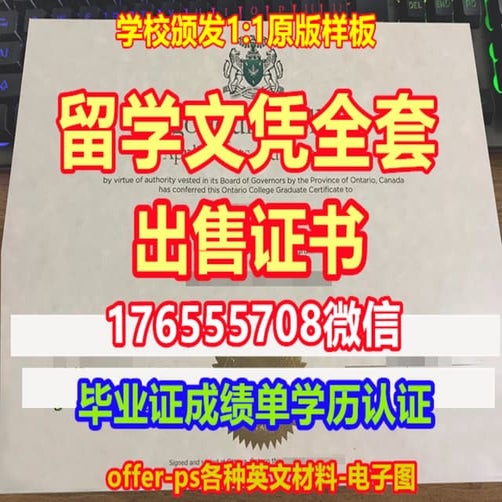 UIUC成绩单 | PDF