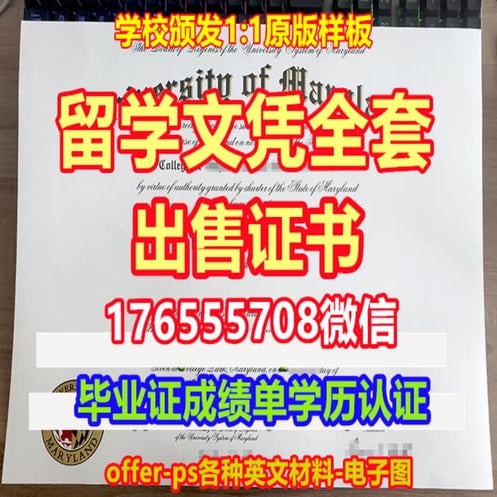 UIUC成绩单 | PDF