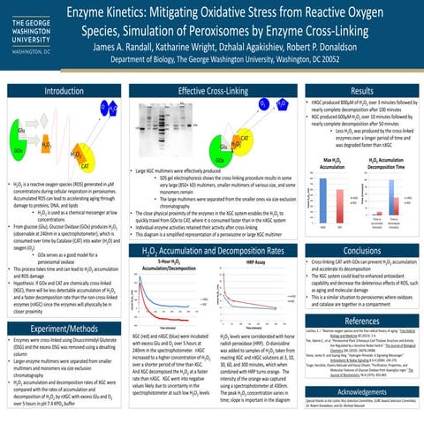 Randall Research Poster | PPTX