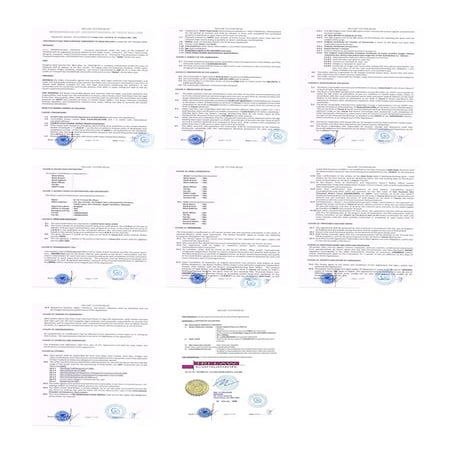 MOU GOLD_Page_1 (8 files merged) | PDF