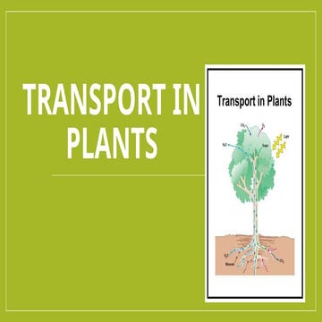 681226125- new curriculum Transport-in-Plants.pptx