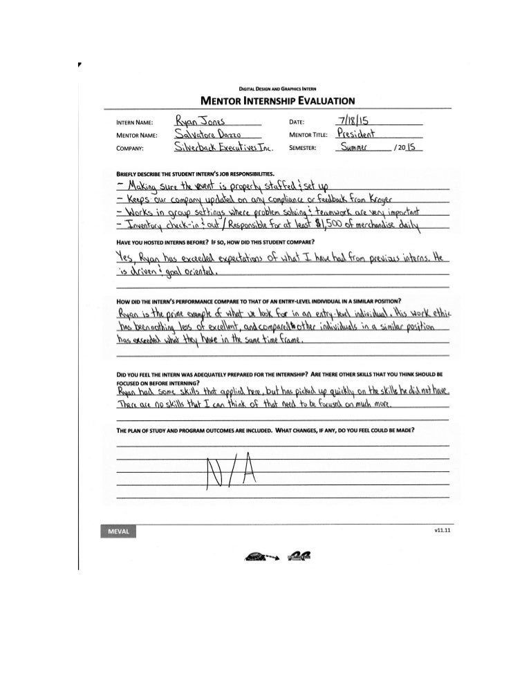 Internship experience essay example image