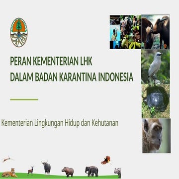 684113314-fin-ppt-Barantin-11Sept-DPR-1.pptx