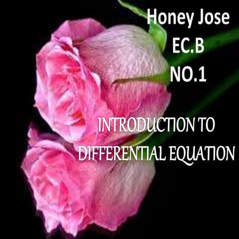 honey jose presentation