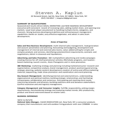 RES REPAINT BUSINESS PLAN | DOCX