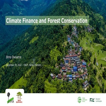 Climate Finance and Forest Conservation | PDF