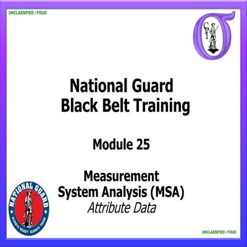 NG BB 25 Measurement System Analysis - Attribute