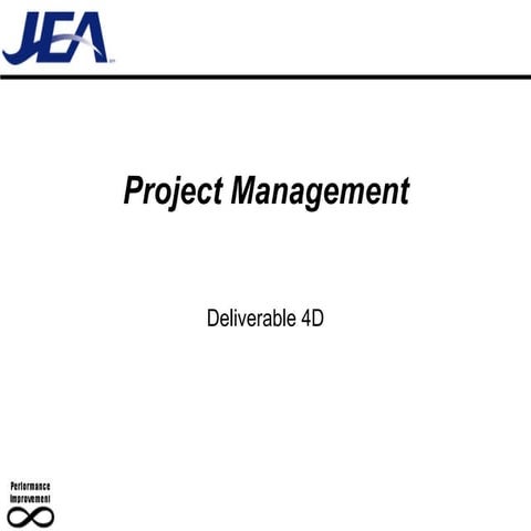 D10 Project Management