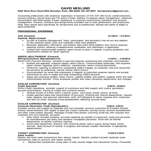DAVID J NESLUND resume 2015