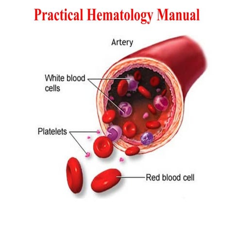 Heamatology Manual