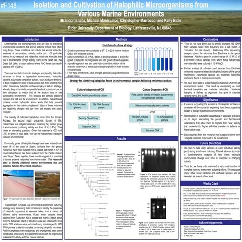 brandon presentation_v4