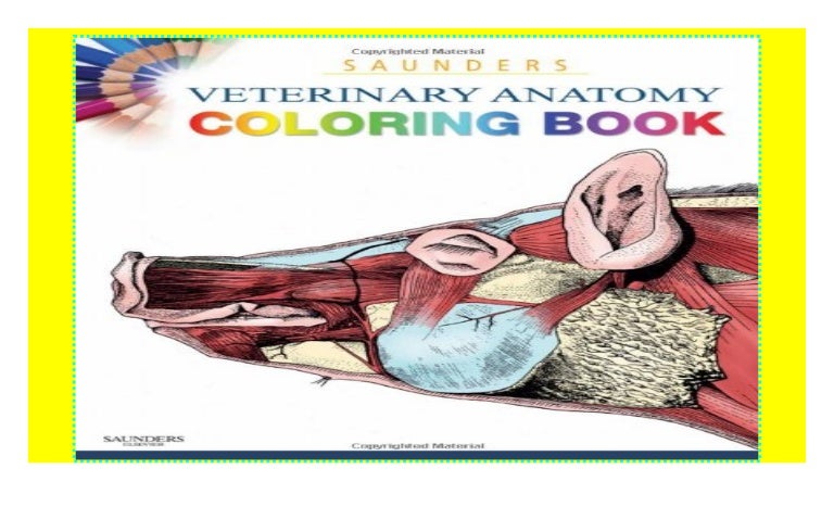 Saunders Veterinary Anatomy Coloring Book, 1e 2018 pdf$@@