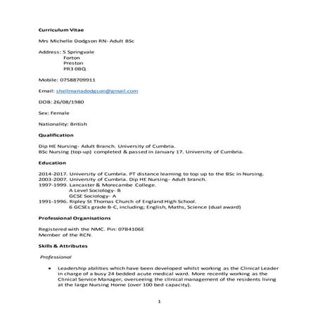 Work Placement Portfolio | PDF