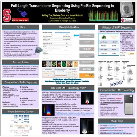 PacBio Sequencing - Single-molecule sequencing in real time generates ...