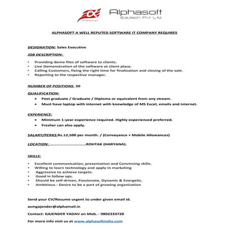 Job_Description_Sales_Executive