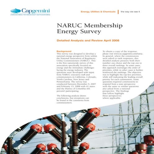 Capgemini_NARUC_EnergySurvey_DetailedAnalysis2008