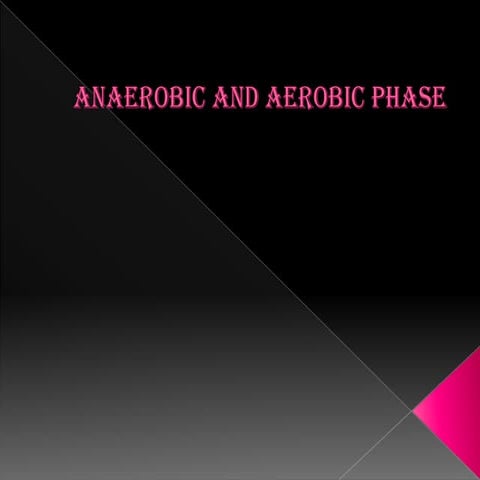 6 anaerobic and aerobic  phases final 1